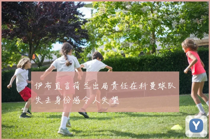 伊布直言荷兰出局责任在科曼球队失去身份感令人失望